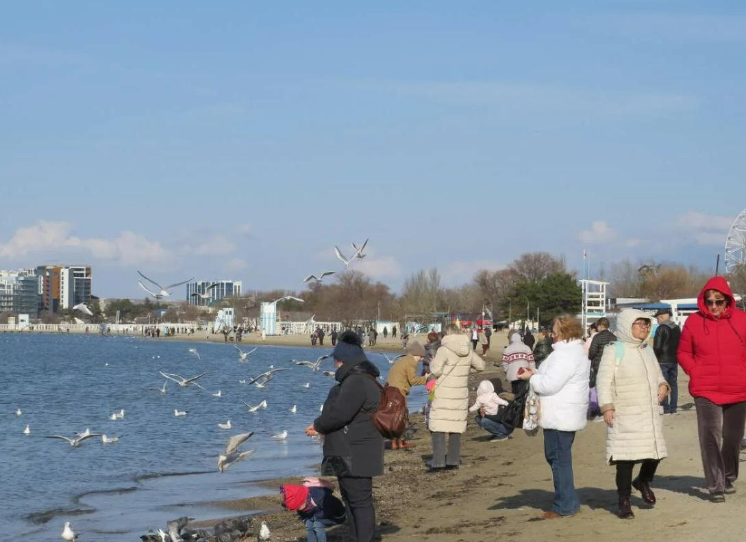 Анапа сегодня 2024 погода море. Анапа в феврале. Анапа в феврале фото. Обстановка в Анапе на сегодняшний день. Природа в Анапе в феврале-марте.