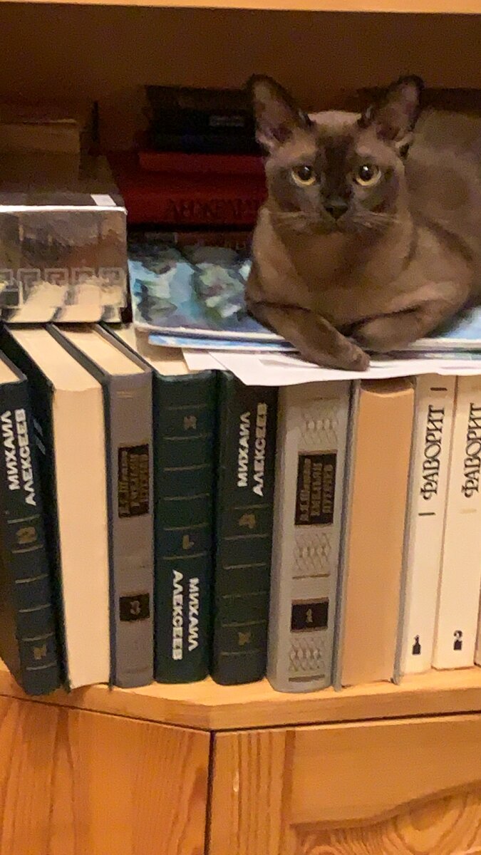 Всегда рядом: ведь  дела хозяина и мои дела)))