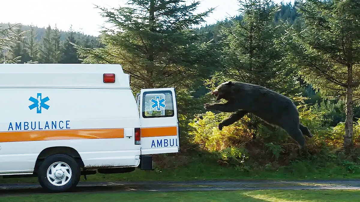 Фильм КОКАИНОВЫЙ МЕДВЕДЬ 2023 года, реж. Элизабет Бэнкс