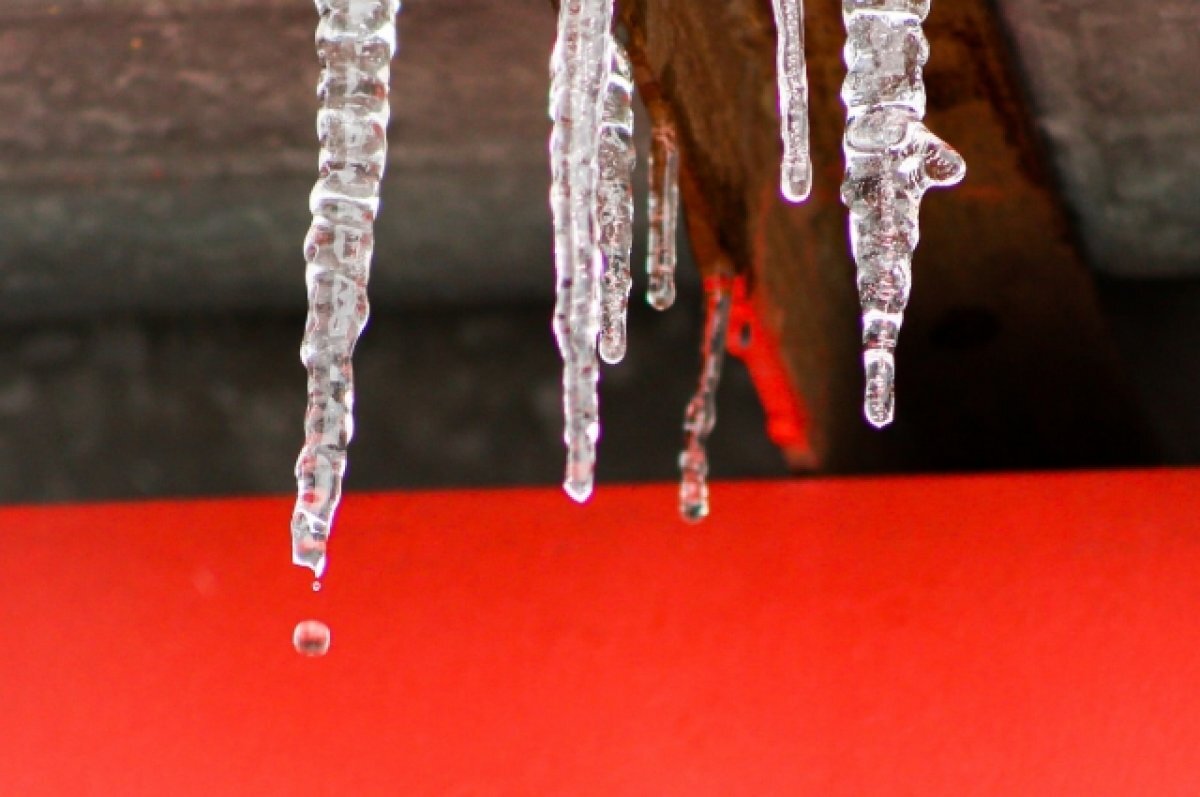    В Новосибирске ожидается потепление до +6 градусов в начале марта