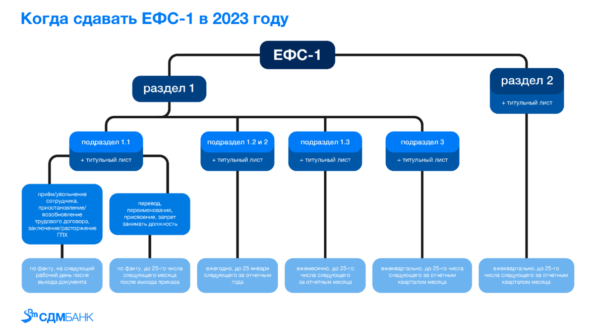 Новый отчет: что такое ЕФС-1 и как его подавать | СДМ-БАНК | Дзен