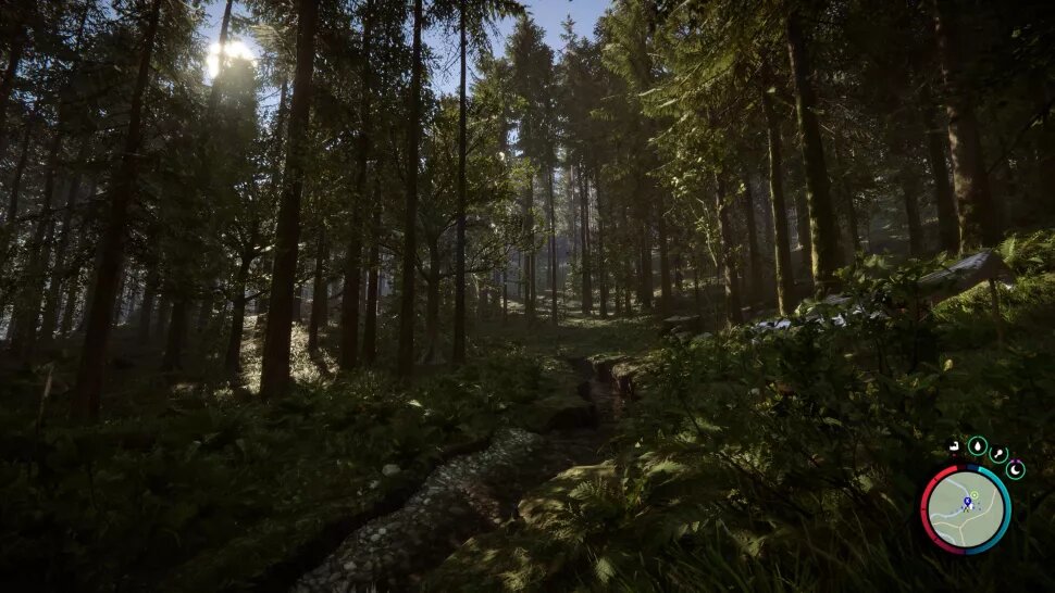 Ответы trikotagmarket.ru: Вылетает игра The Forest когда подключаюсь к другу.