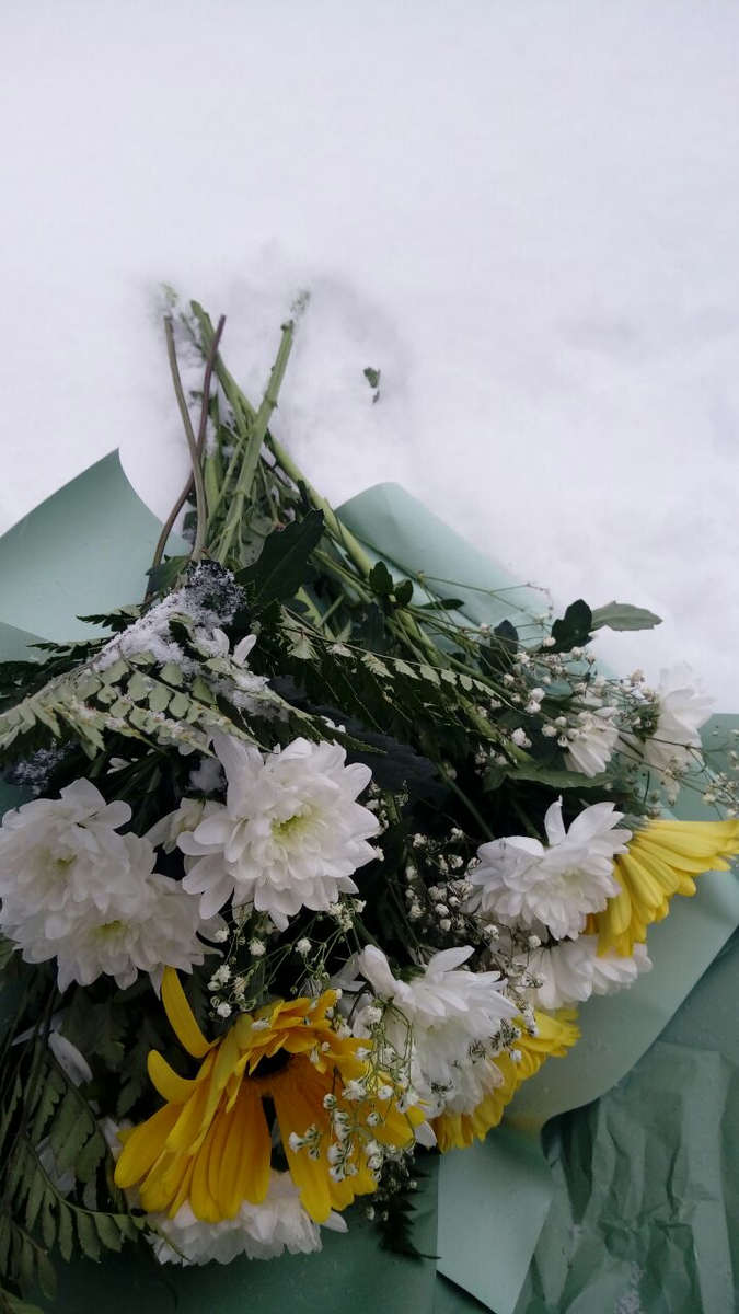 Фото автора.