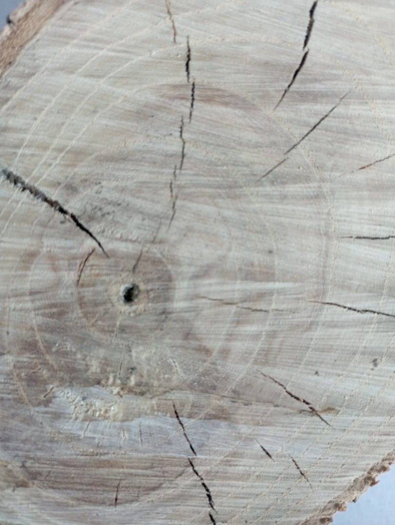 фото нестандартное хобби