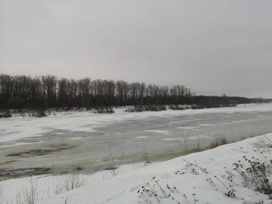     архив МК
