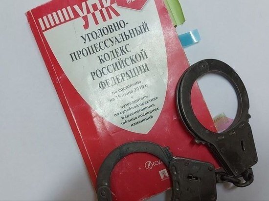     Хабаровчанина осудили за разбойное нападение в продуктовом магазине / Анастасия Дудалова