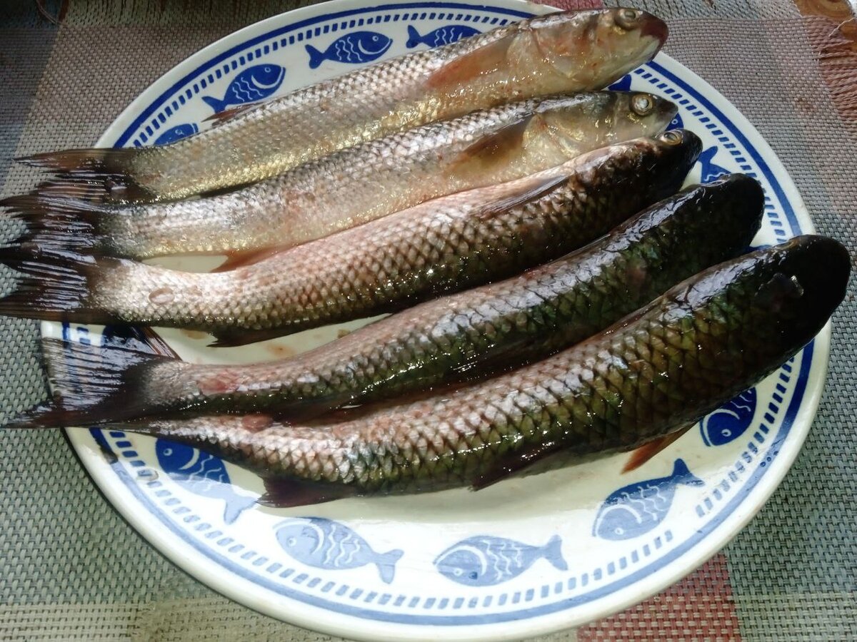 Такую небольшую рыбку хозяйки готовят редко, потому что не знают, как убрать из нее все кости