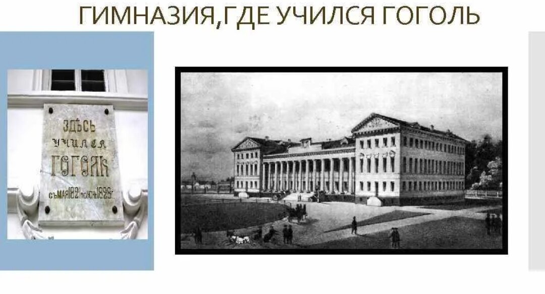 николай некрасов в ярославской гимназии. московский университет медицинский факультет 18 век. гимназия гоголя в нежине. учеба льва николаевича толстого. где учился н.