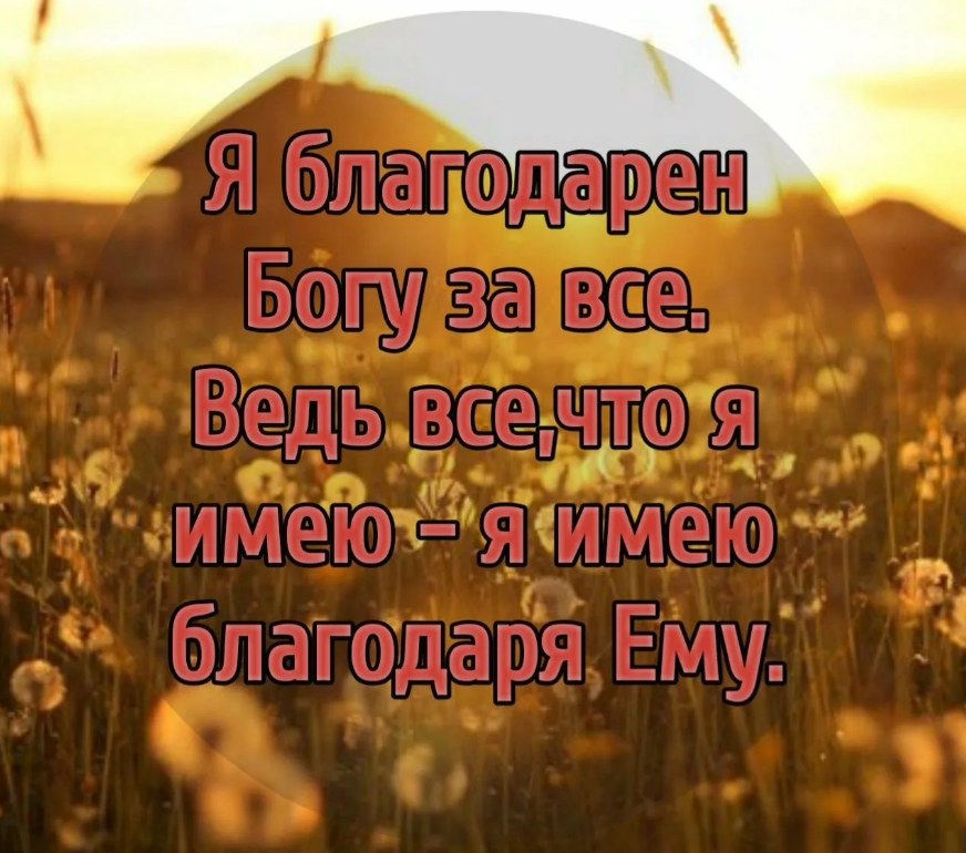 Слава Богу за всё! Слава Богу за скорбь и за радость! | Христианские цитаты, Бог, Благодарность