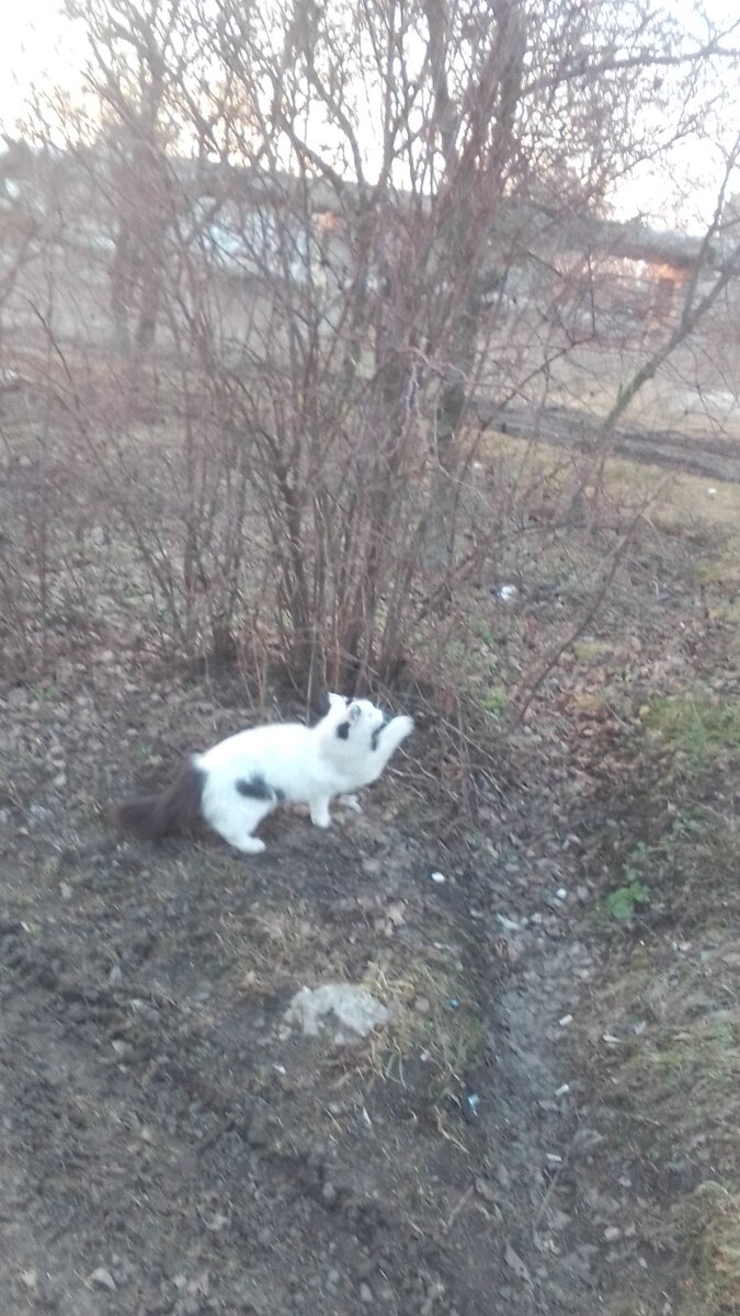 Фото сила - в знаниях