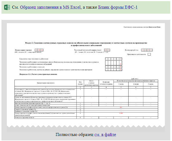 Ефс 1 нулевой отчет 2024 образец