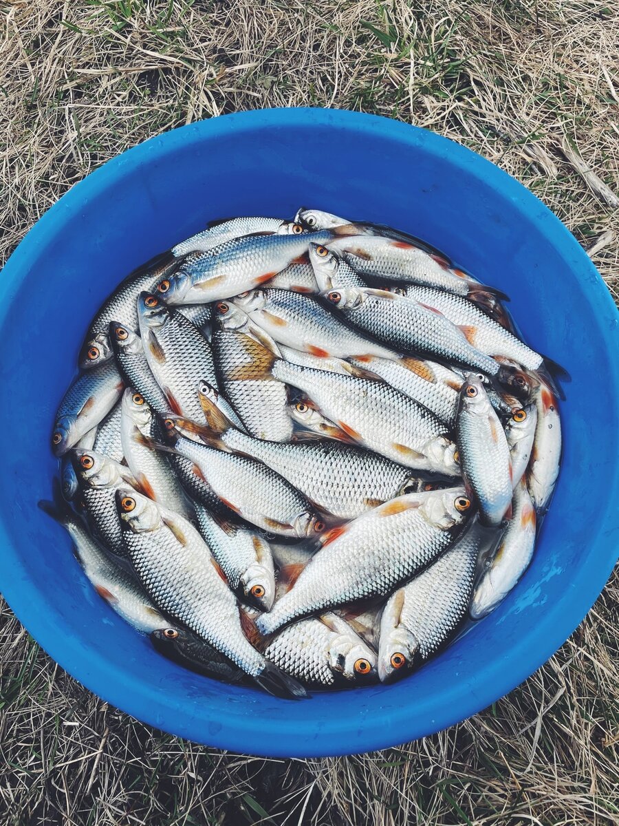 Актуальная информация о рыбалке в Туле