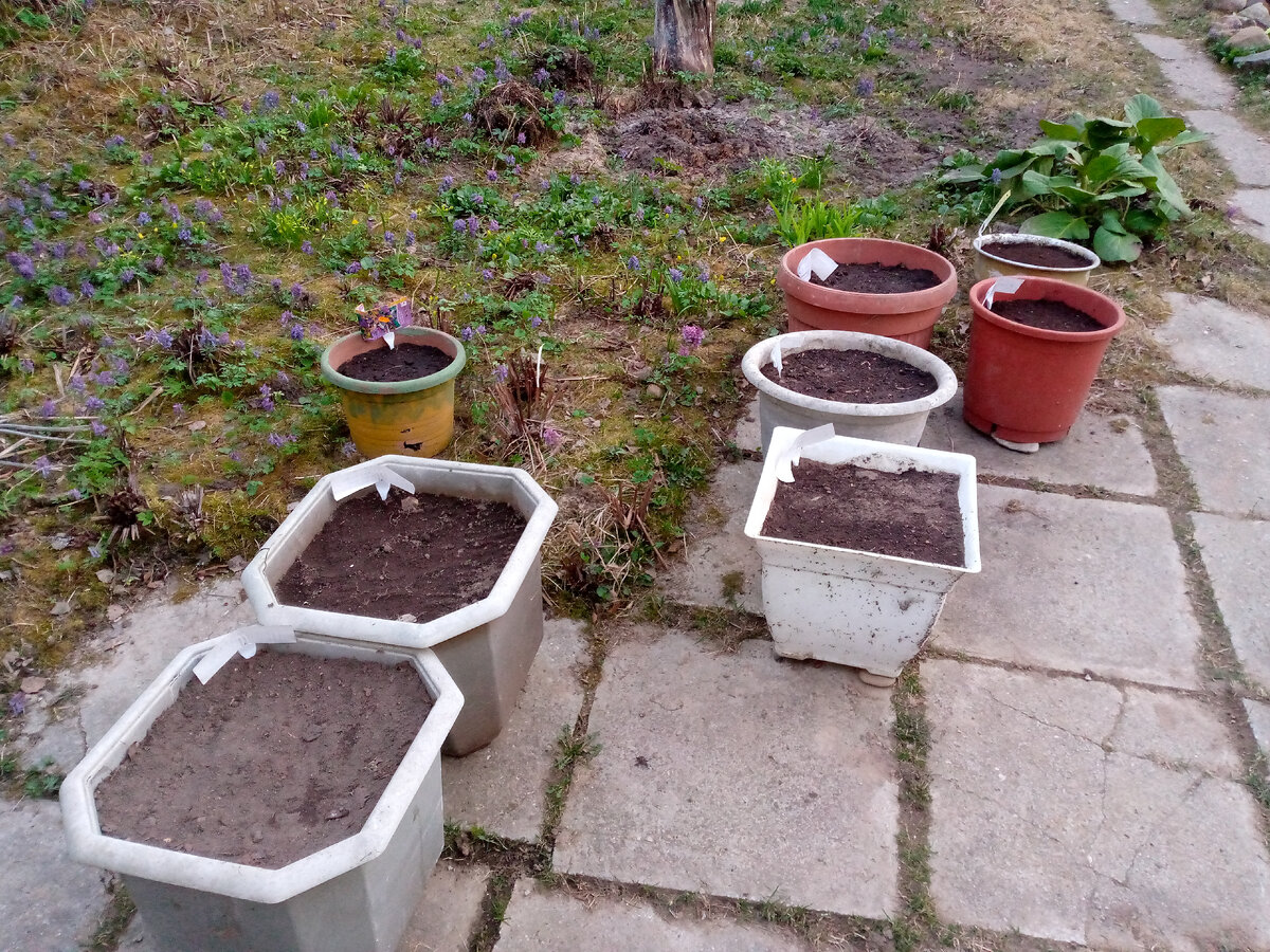 Это ещё не все 