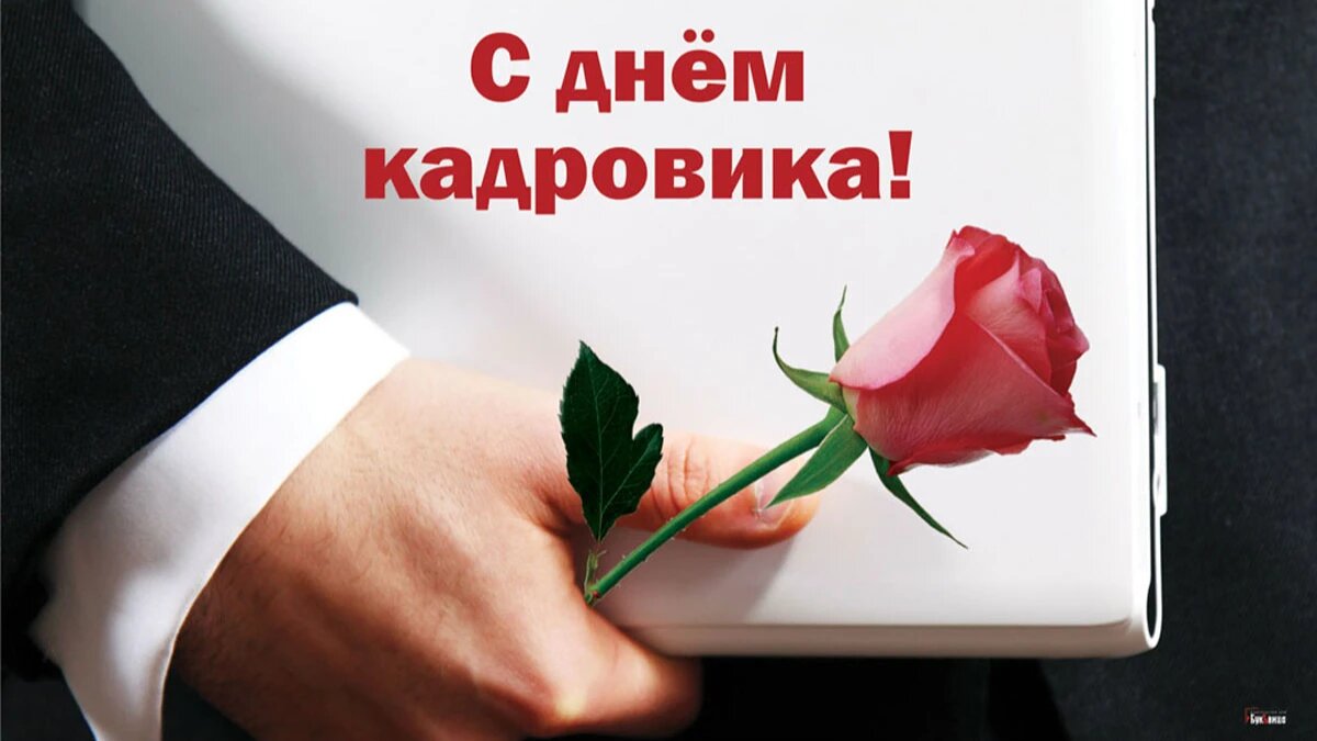24 мая день кадровика картинки поздравления