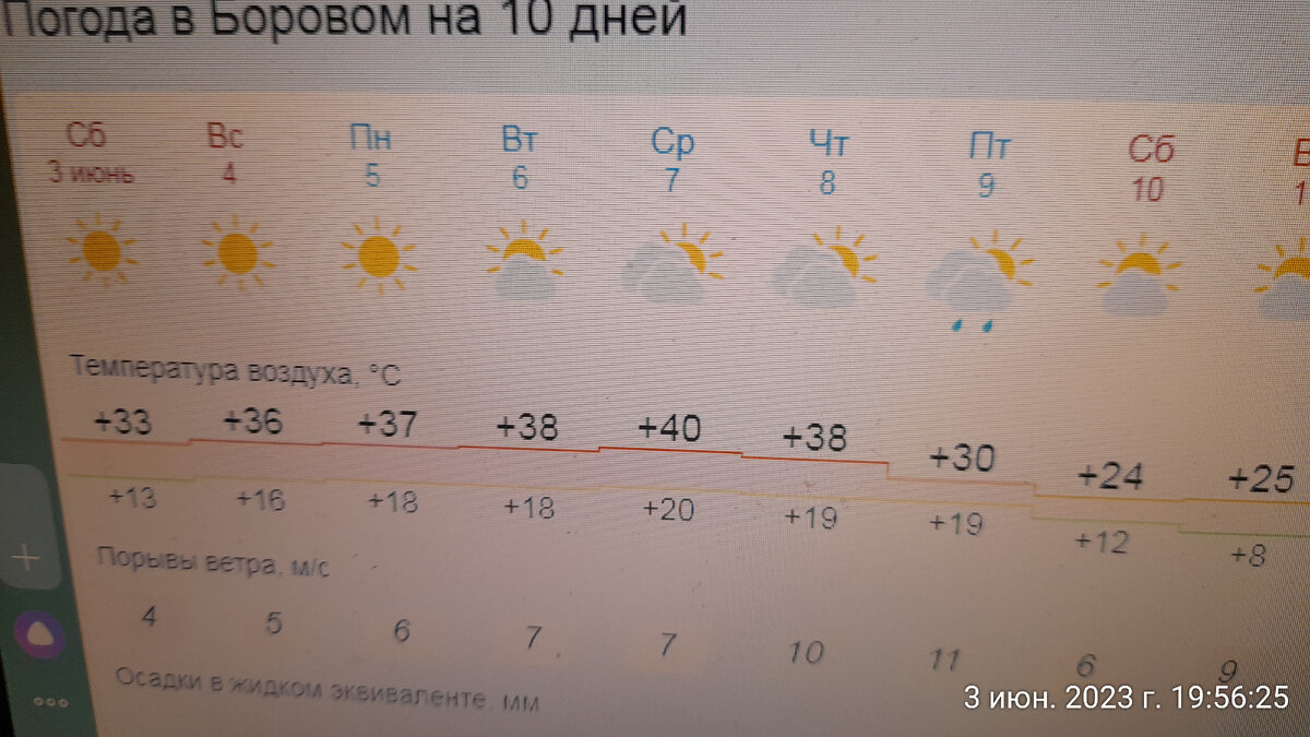 погода на 10 дней