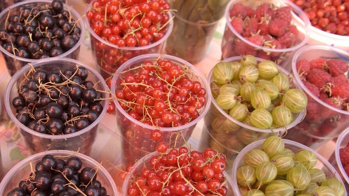    Ягоды © Globallookpress Anton Kavashkin