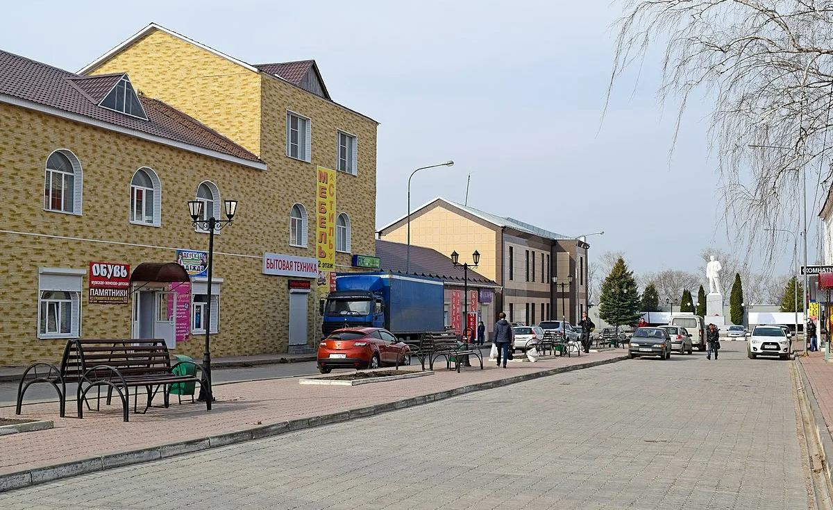 На фото: город Скопин