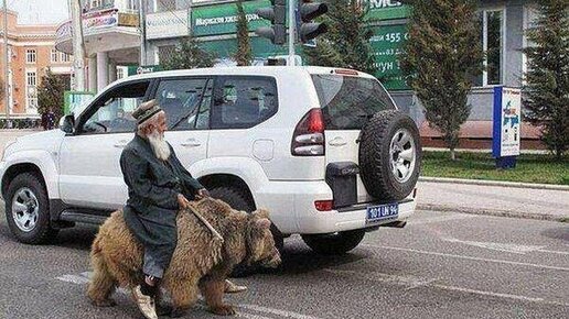 Забавные ситуации на дорогах