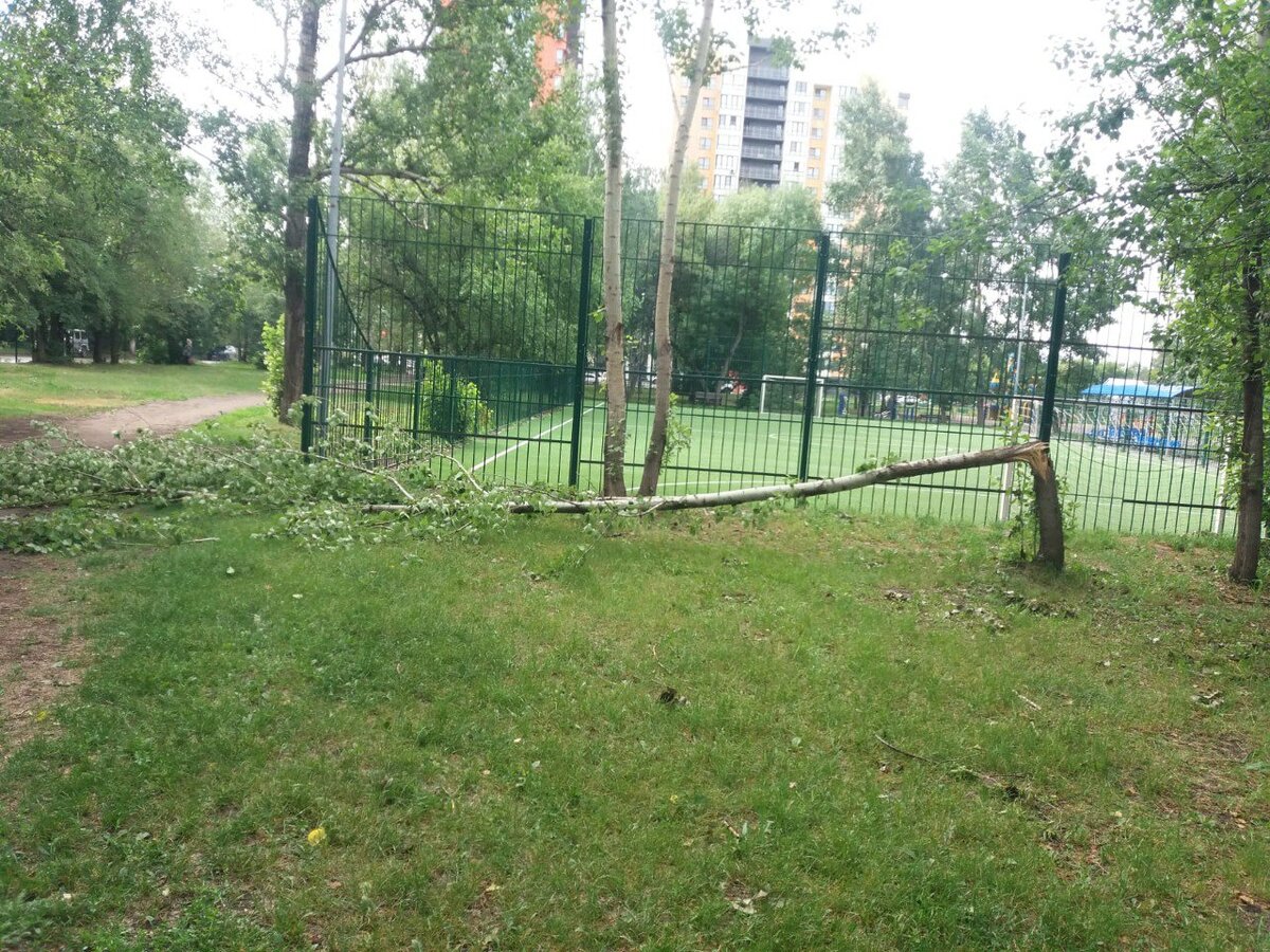 Фото: barnaul.org, сообщество Barnaul 22 в социальной сети «ВКонтакте»