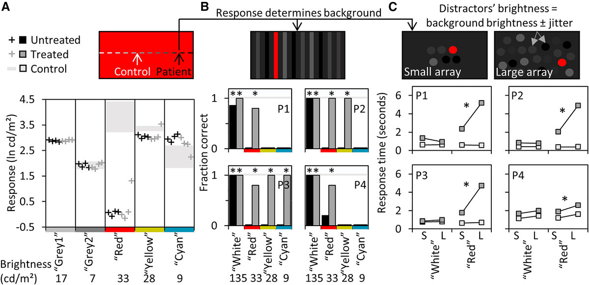   Ayelet McKyton et al. / Current Biology, 2023