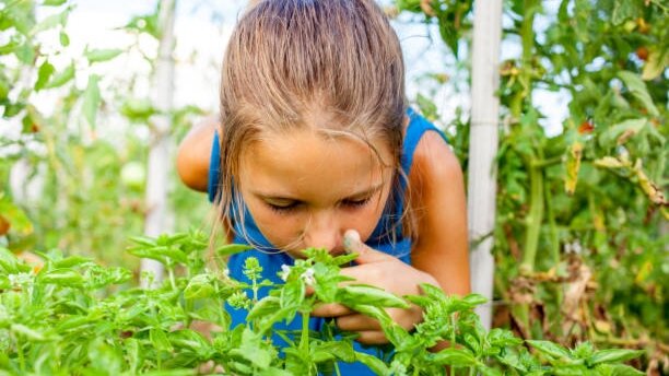 Однажды попробовав, полюбите и не забудете!