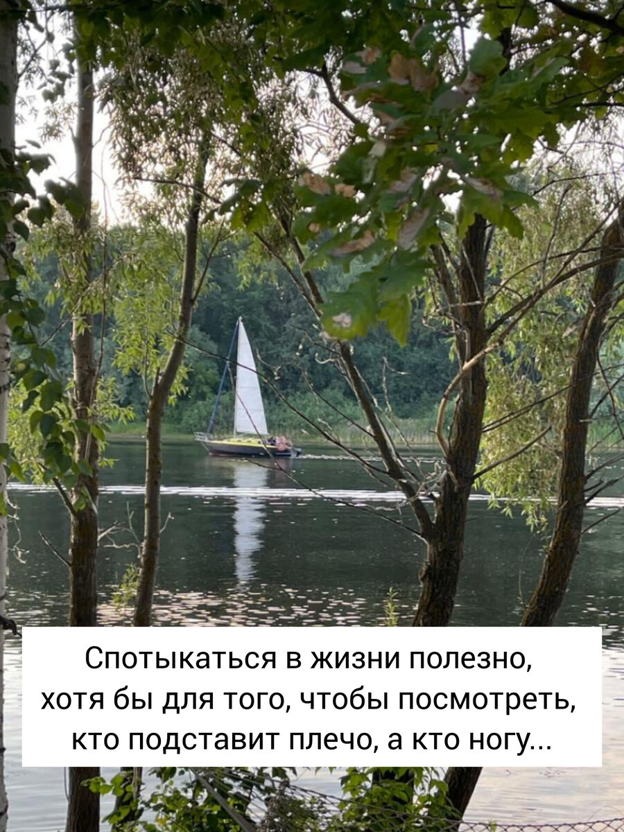 Афоризм дня