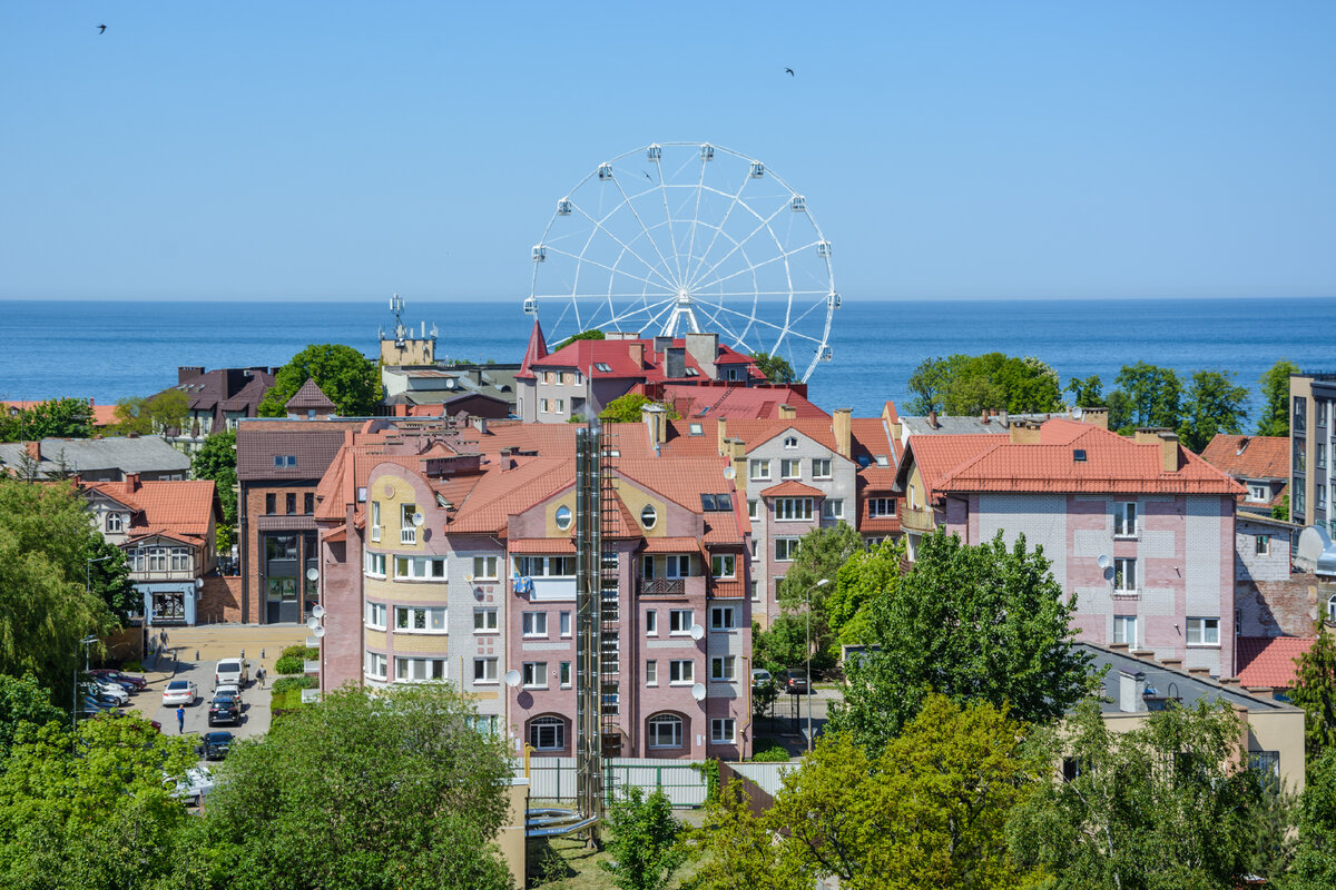 Город кошек в калининградской области фото