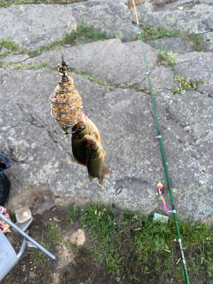 Иногда клюет даже дуплетом!