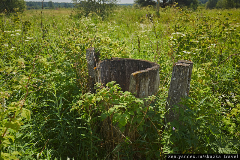 Колодец сильно зарос