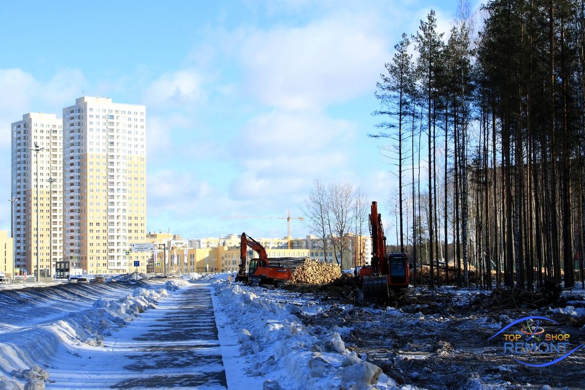 Вырубка леса на месте застройки.