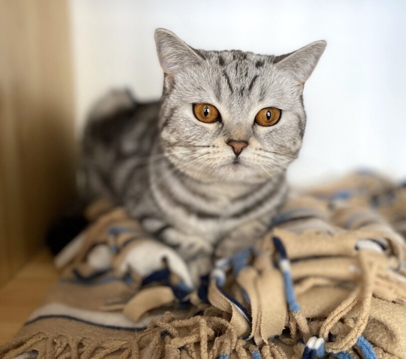 У нас в гостях