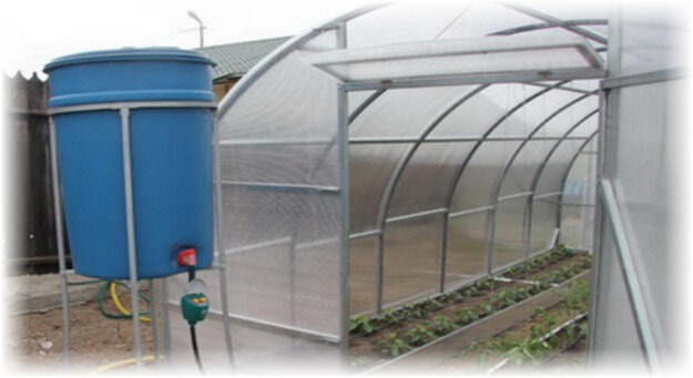 За счёт проветриваний убирают высокую влажность воздуха, которую арбузы не любят в принципе. Важно держать её значения в пределах 50%, при влажности грунта выше 65%.