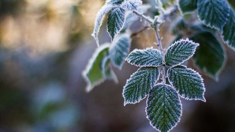 Фото: МЧС России по РХ