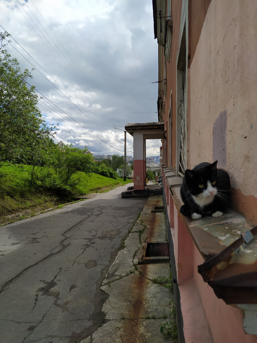 Что мы успели посмотреть в Мурманске за пять часов и что нас удивило в этом  городе | Фотозарисовки из путешествий | Дзен