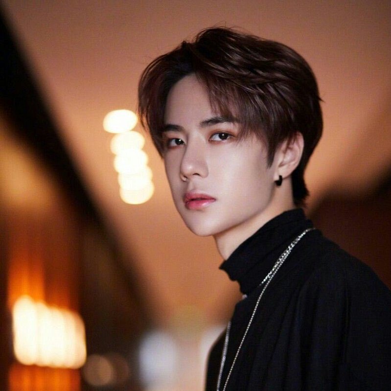 Ван ибо новые проекты