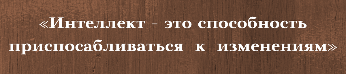 Коллаж составлен лично, в Канва. Цитата Стивена.