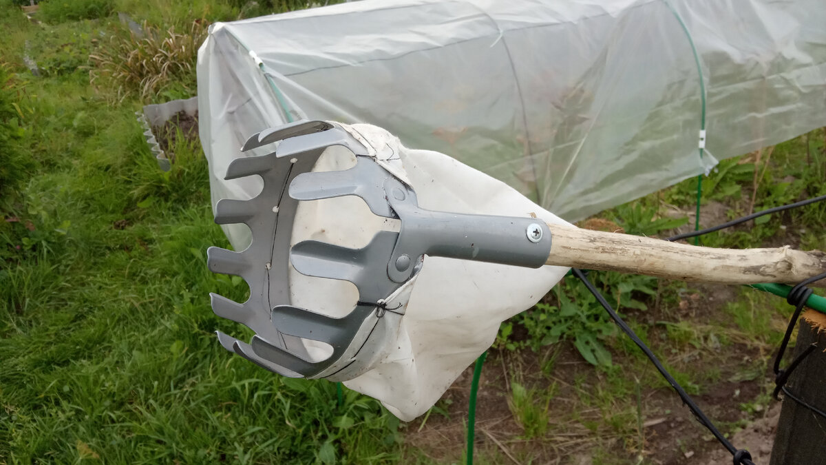 Вот такой плодосъемник, купленный в Фикс Прайсе за смешную цену, помогает в сборе яблок и груш