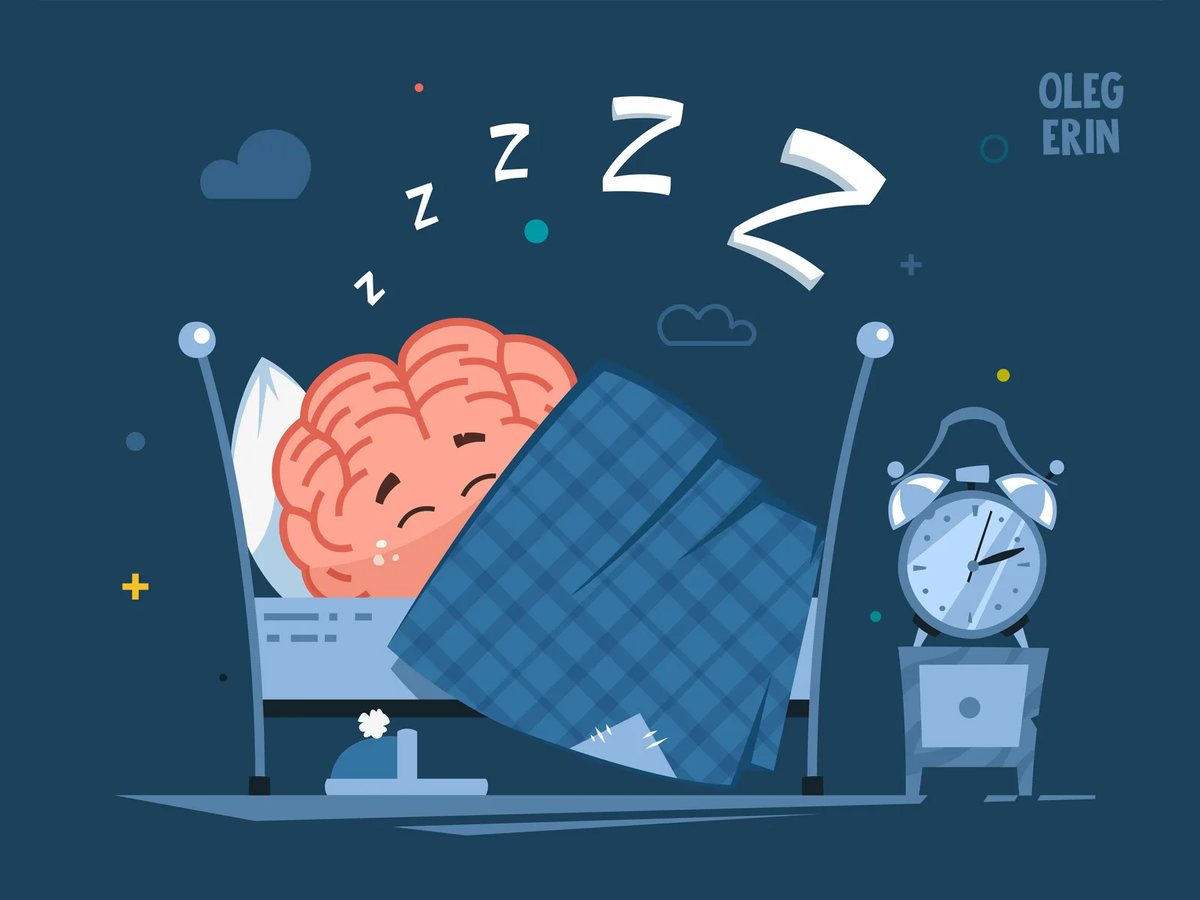 Мозг человека во время сна. Сон и мозг. Сон и мозг человека.