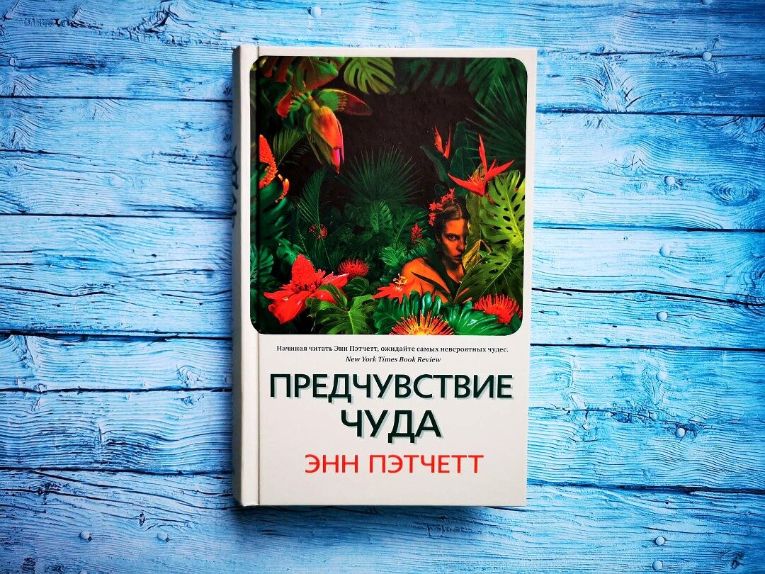 Энн пэтчетт книги. Предчувствие чуда Энн Пэтчетт книга. Пэтчетт э. "предчувствие чуда". На пороге чудес Энн Пэтчетт. Пэтчетт Энн "свои-чужие".