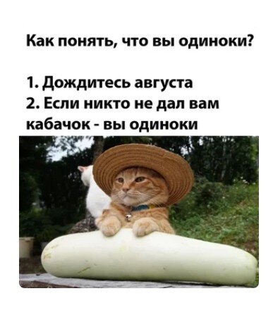 Фото: pinterest.ru