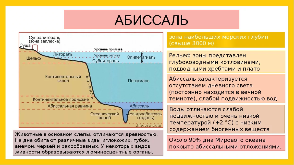 Для наглядности