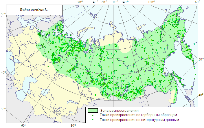 Карта расту. Ареал произрастания морошки в России. Черника ареал произрастания. Подорожник ареал произрастания. Голубика ареал произрастания.
