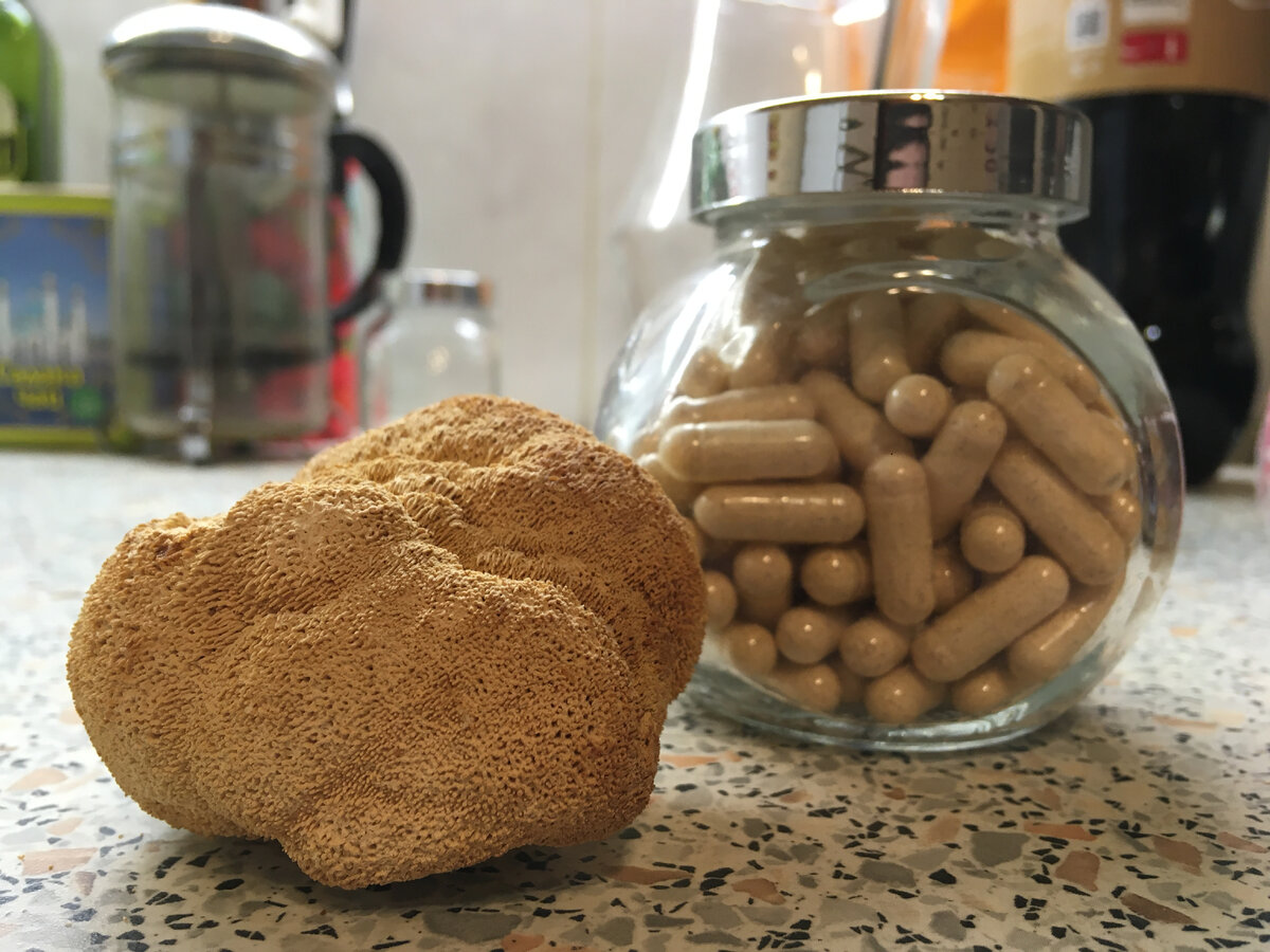 Названия (Научные синонимы):
Hydnum erinaceus Bull., 1781 basionym
Clavaria erinaceus (Bull.) Paulet, 1793
Hericium caput-medusae (Bull.) Pers., 1797
Hericium echinus (Scop.) Pers., 1797 и др.
Dryodon erinaceus (Bull.) P. Karst., 1882
 
Русские синонимы:
Гери́ций (гери́циум) гребенчатый

Народные названия на русском и европейских языках:
Грибная лапша
Дедова борода
Львиная грива (англ. lion's mane mushroom)
гриб Пом-Пом (фр. Pom-Pom blanc)
Часто гриб называют «обезьяньей головой» — это перевод китайского названия «хоутоугу» (кит. 猴头菇 пиньинь hóutóugū)
Распространено и японское его название «ямабушитаке» (yamabushitake, яп. 山伏茸 ямабуситакэ)