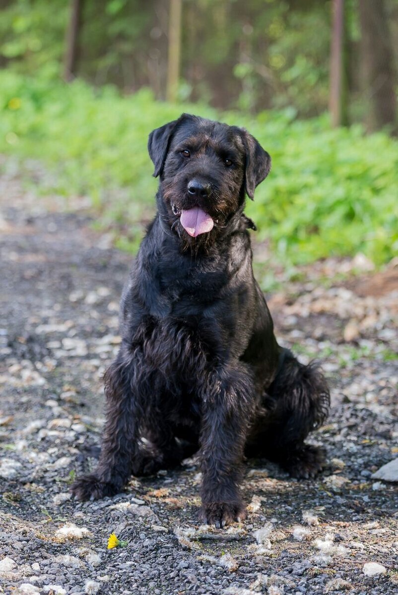 фото взято с сайта - print-kozhovo.com в качестве иллюстрации.
