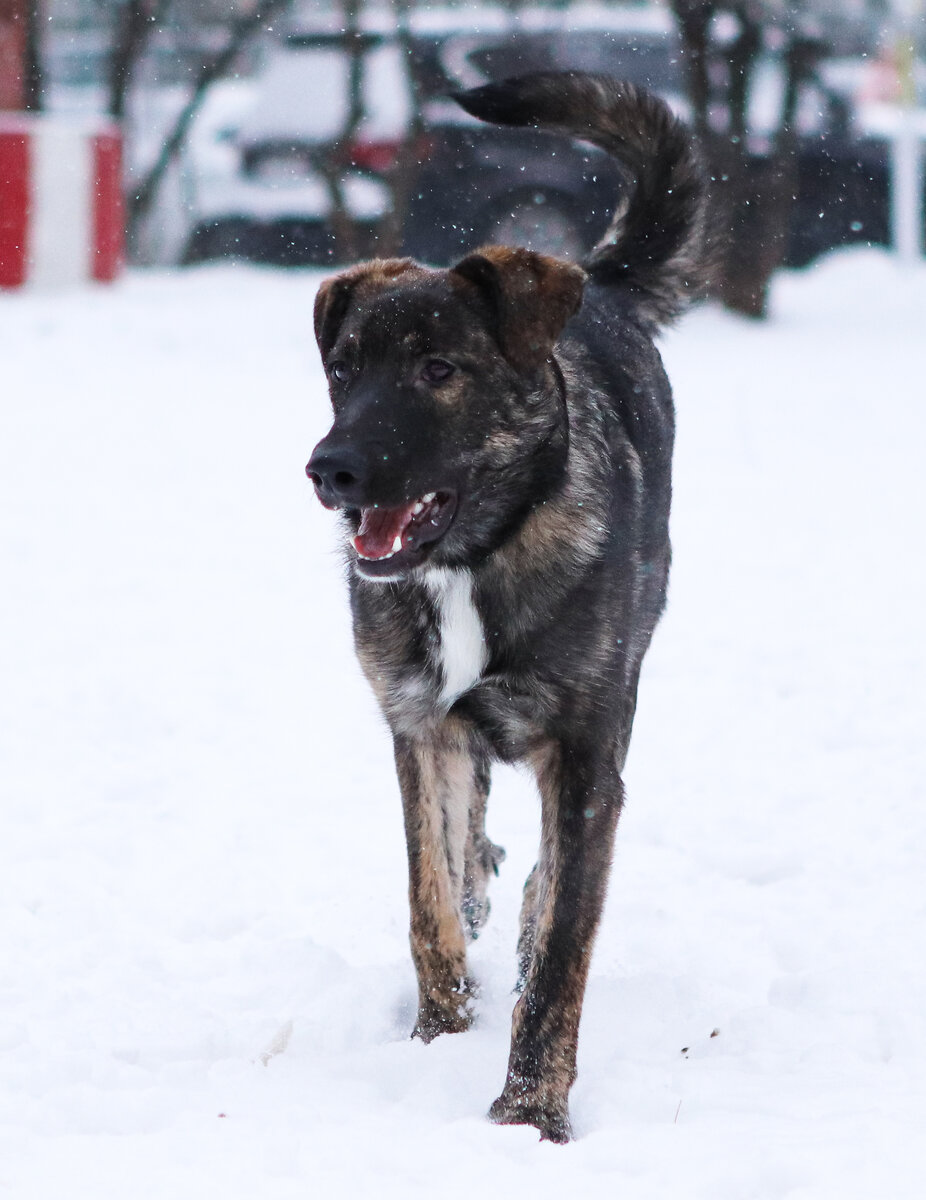 Каждый является звездой и заслуживает право на сияние. 