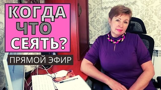 Прямой эфир. Когда и что будем сеять на ранее потребление и для души