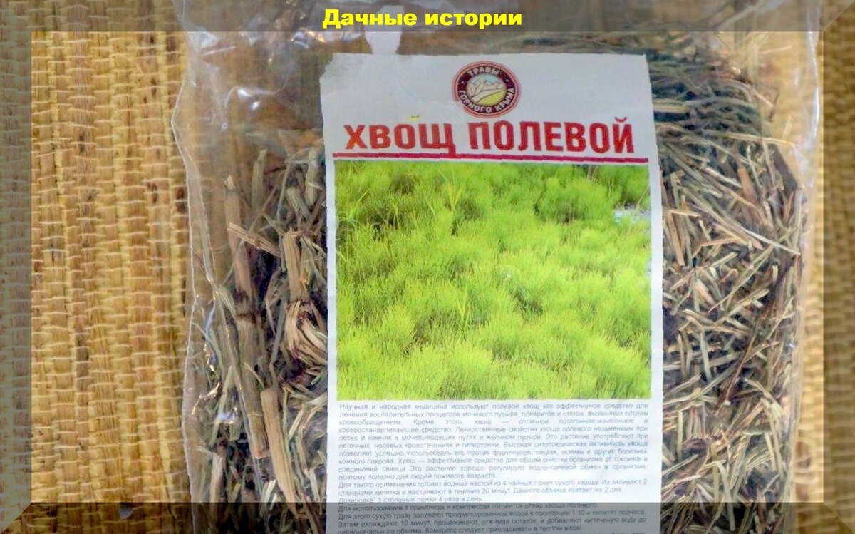 Полегла рассада без видимой причины: готовим биопрепараты для подкормки  рассады кремнием | Дачные истории | Дзен