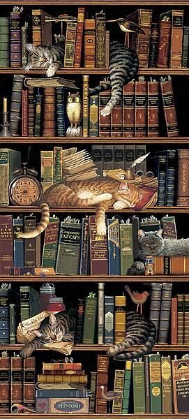Умные котики https://i.pinimg.com/564x/4d/cd/46/4dcd465e155f2c5d87acd21ac8545ab9.jpg