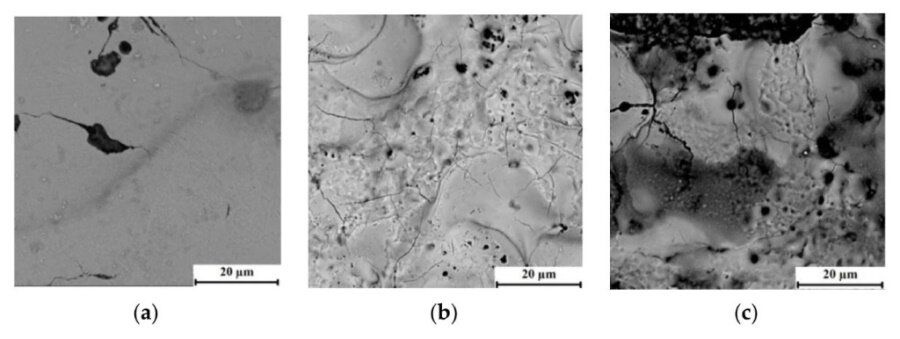 Фото: Минобр РФ