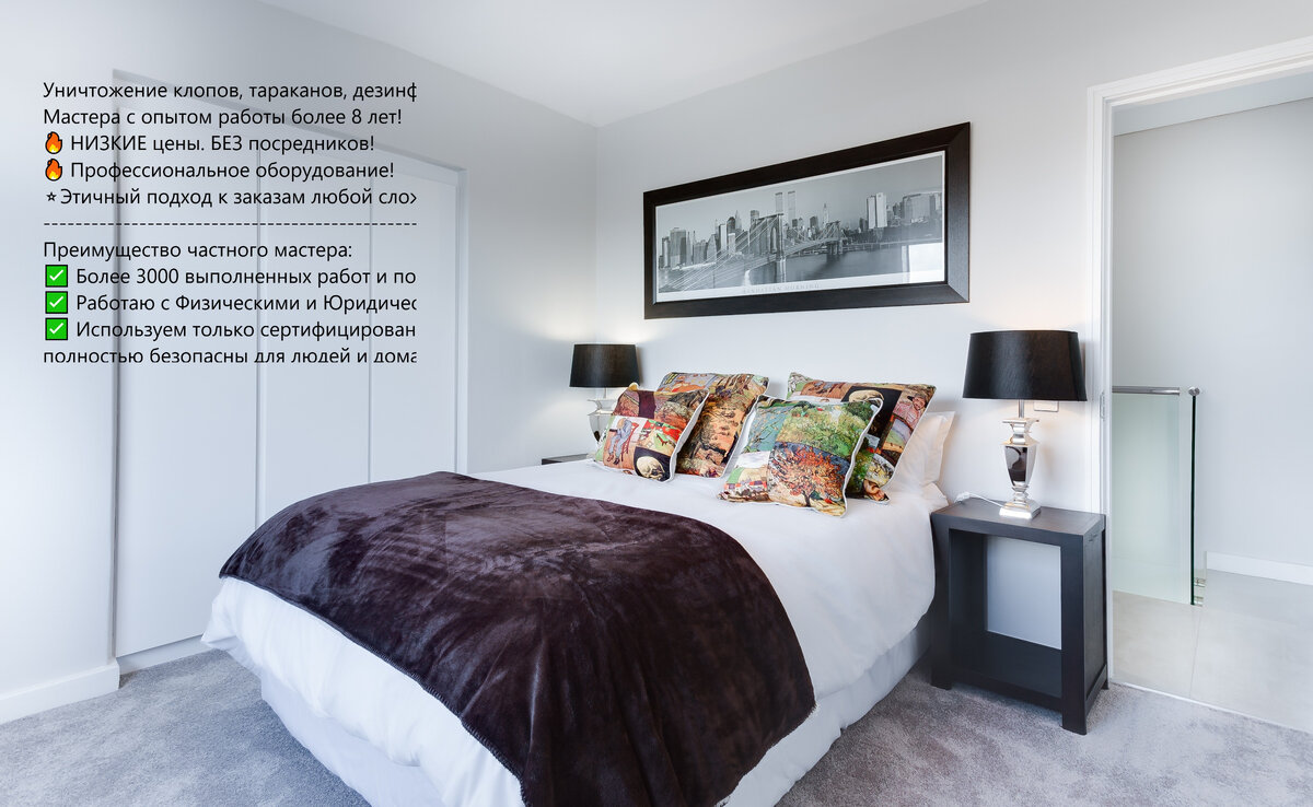 Дез-Бест  профессиональная обработка помещений от клопов в Рязани.
